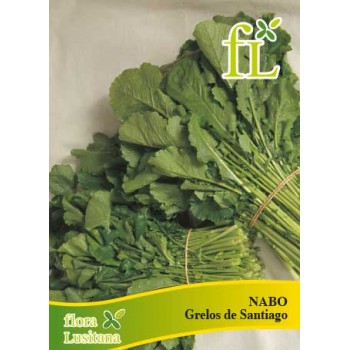 Nabo Grelos de Santiago...