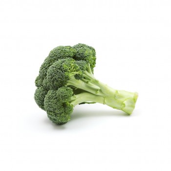 Brócolo